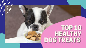 Top 10 Healthy Dog Treats