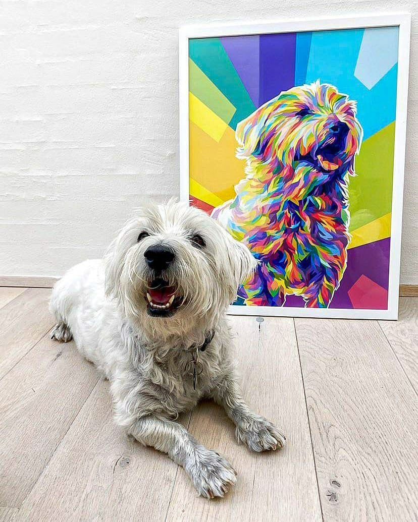 White Dog Colourful Pet Poster