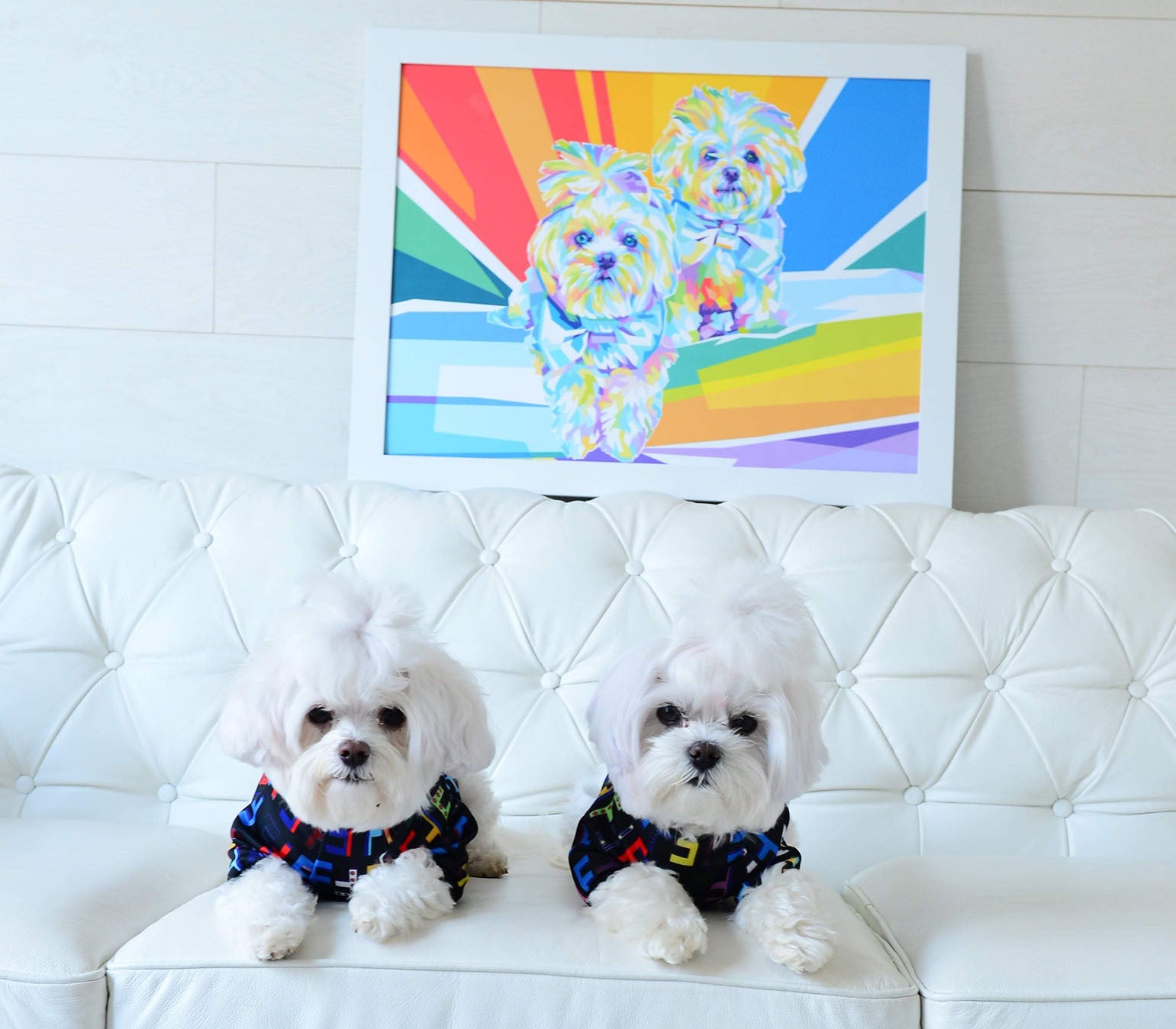 Personalized Colourful Pet Poster 2 Dogs on Couch