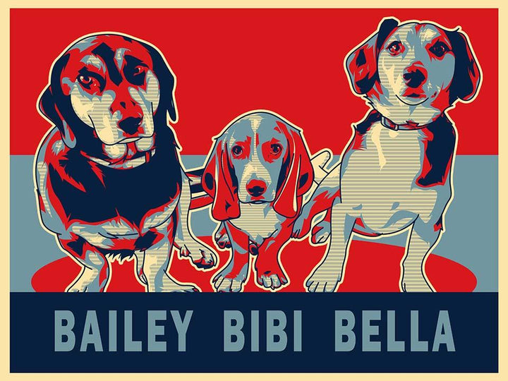 Custom Designed Pet Poster 3 Dogs Bailey Bibi Bella